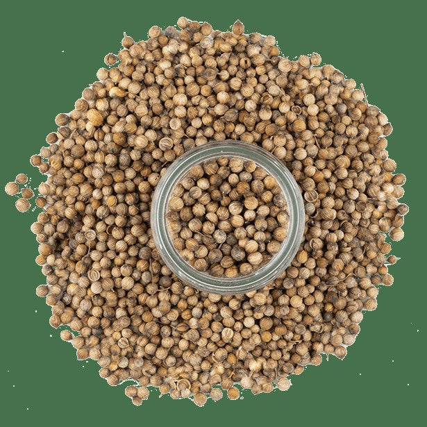 Coriander, Moroccan Seeds