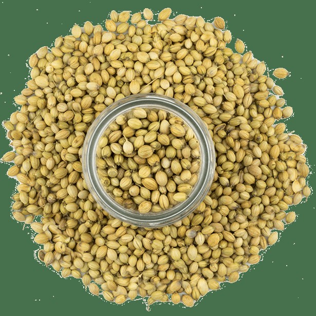 Coriander, Indian Seeds