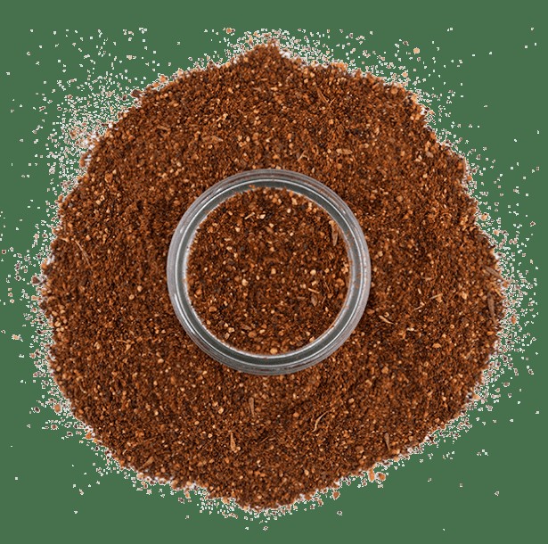 Oaxacan Ancho Coffee Rub