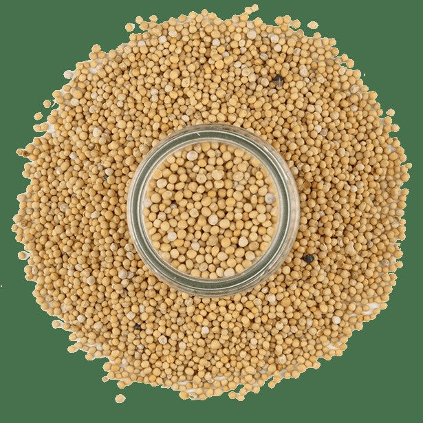 Mustard, Yellow Seed