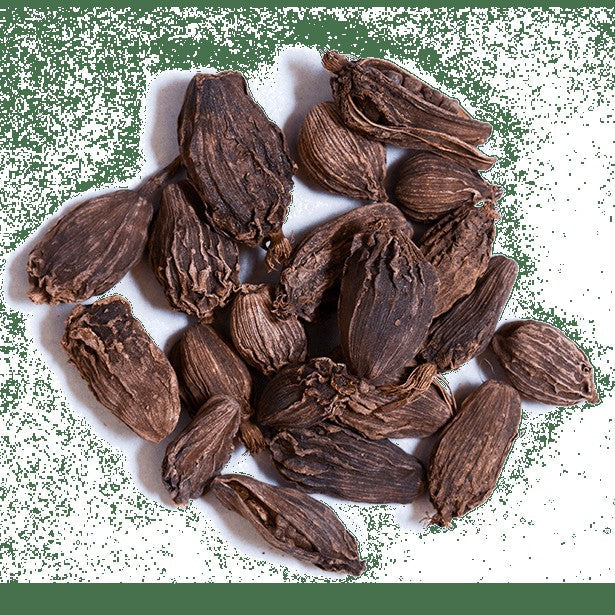 Cardamom, Black Cardamom Pods