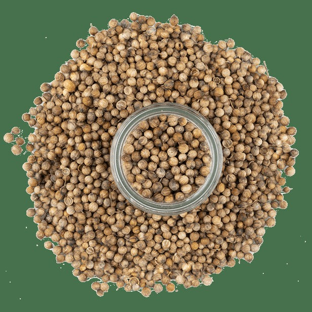 Coriander, Moroccan Seeds