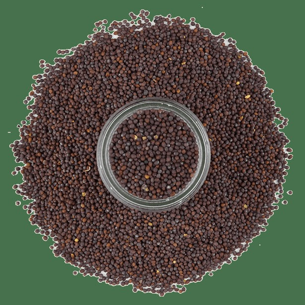 Mustard, Brown Seed