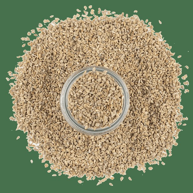 Ajowan Seeds