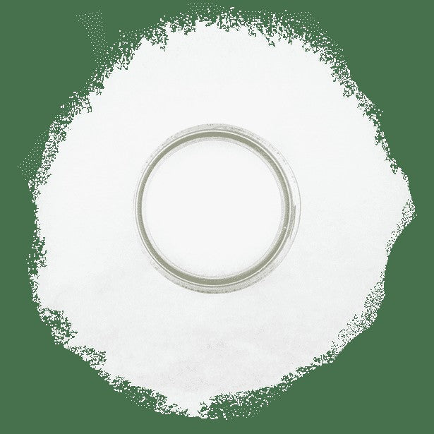 Monosodium Glutamate