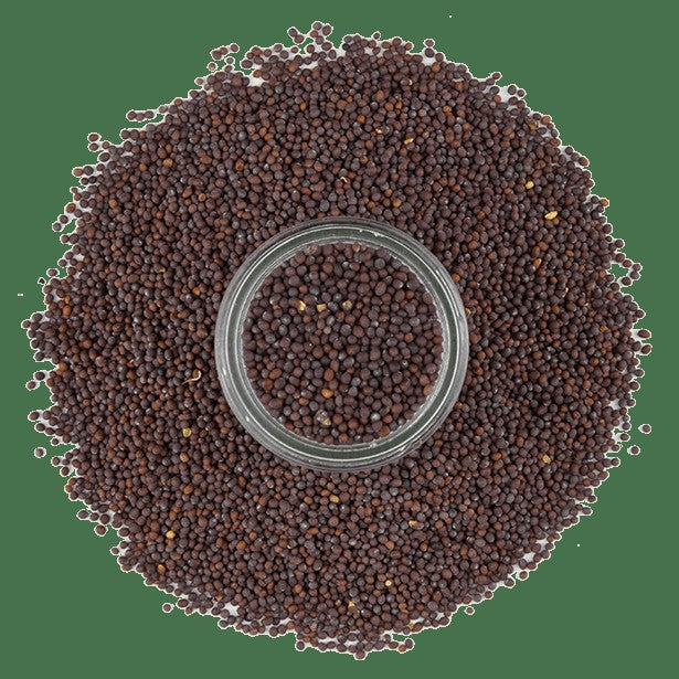 Mustard, Brown Seed