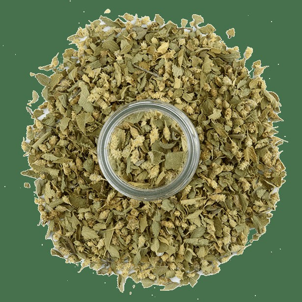 Oregano, Mexican Broken Leaf