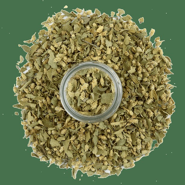 Oregano, Mexican Broken Leaf