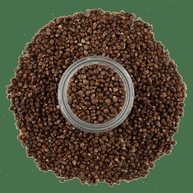 Grains of Paradise