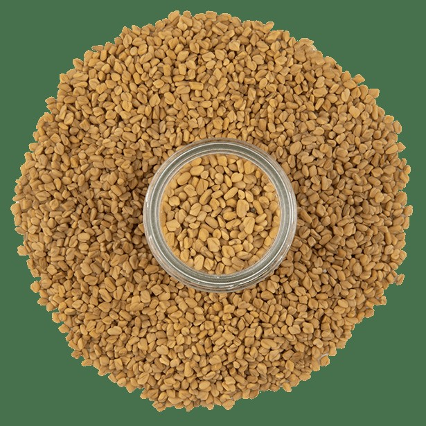 Fenugreek, Whole Seeds