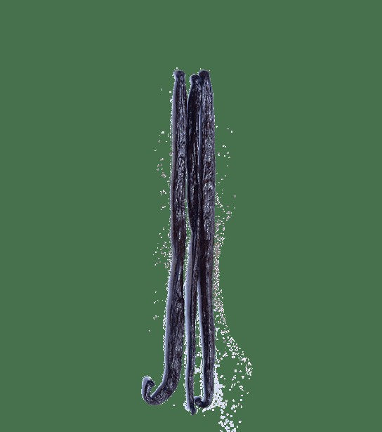 Vanilla Beans, Madagascar